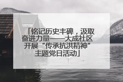 铭记历史丰碑，汲取奋进力量——大成社区开展“传承抗洪精神”主题党日活动