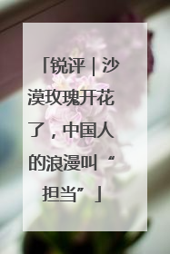 锐评｜沙漠玫瑰开花了，中国人的浪漫叫“担当”