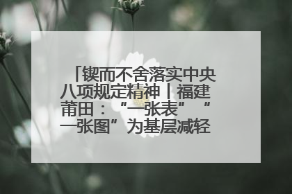 锲而不舍落实中央八项规定精神丨福建莆田：“一张表”“一张图”为基层减轻“数字负担”