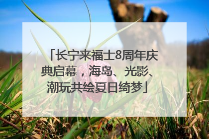 长宁来福士8周年庆典启幕，海岛、光影、潮玩共绘夏日绮梦