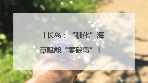 长岛：“驯化”海草赋能“零碳岛”