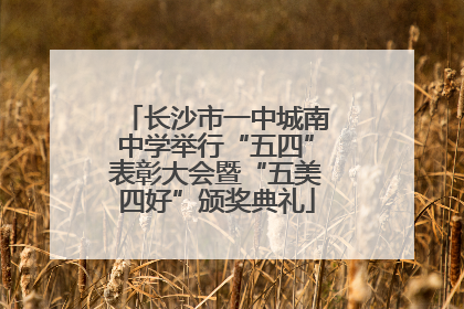长沙市一中城南中学举行“五四”表彰大会暨“五美四好”颁奖典礼
