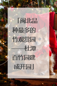 闽北品种最多的竹观赏园——杜潭百竹园建成开园