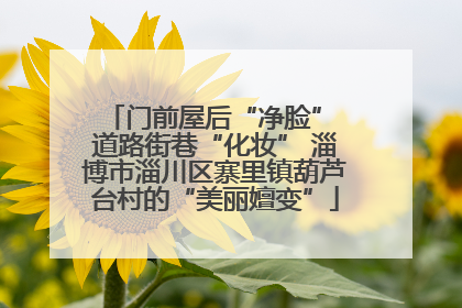 门前屋后“净脸” 道路街巷“化妆” 淄博市淄川区寨里镇葫芦台村的“美丽嬗变”