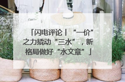 闪电评论丨“一价”之力撬动“三水”，新格局做好“水文章”