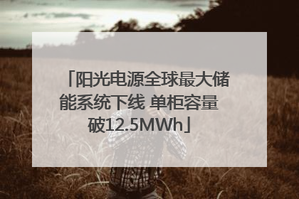 阳光电源全球最大储能系统下线 单柜容量破12.5MWh
