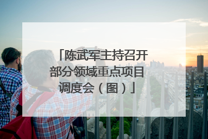 陈武军主持召开部分领域重点项目调度会（图）