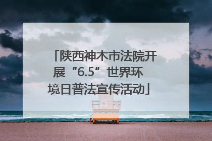 陕西神木市法院开展“6.5”世界环境日普法宣传活动