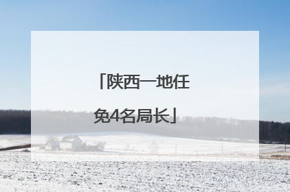 陕西一地任免4名局长