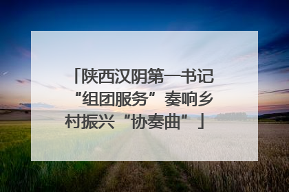 陕西汉阴第一书记“组团服务”奏响乡村振兴“协奏曲”