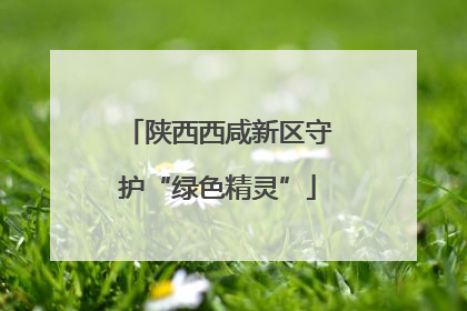 陕西西咸新区守护“绿色精灵”