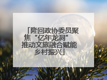 隆回政协委员聚焦“亿年龙洞” 推动文旅融合赋能乡村振兴