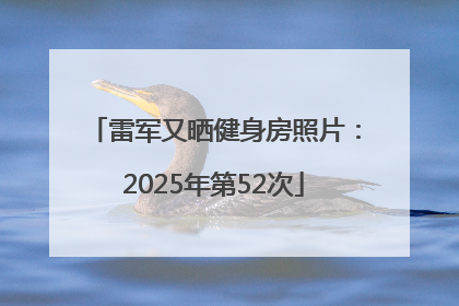 雷军又晒健身房照片：2025年第52次