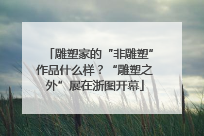 雕塑家的“非雕塑”作品什么样？“雕塑之外”展在浙图开幕