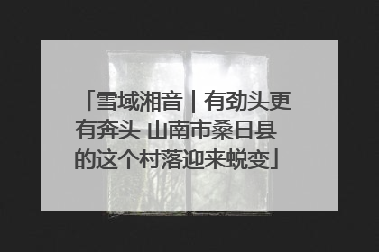 雪域湘音｜有劲头更有奔头 山南市桑日县的这个村落迎来蜕变