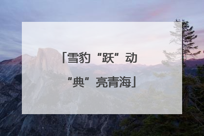雪豹“跃”动 “典”亮青海