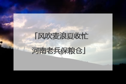 风吹麦浪夏收忙 河南老兵保粮仓