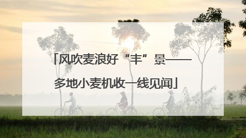 风吹麦浪好“丰”景——多地小麦机收一线见闻