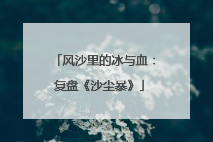 风沙里的冰与血：复盘《沙尘暴》