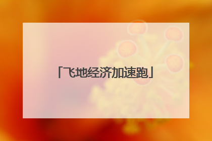 飞地经济加速跑