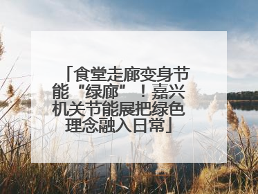 食堂走廊变身节能“绿廊”！嘉兴机关节能展把绿色理念融入日常
