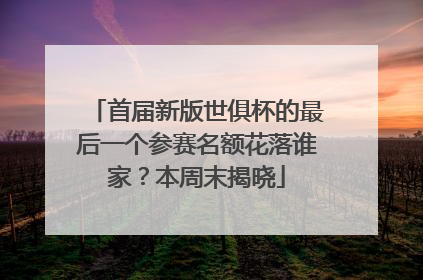 首届新版世俱杯的最后一个参赛名额花落谁家？本周末揭晓