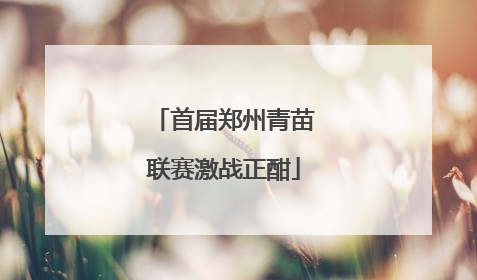 首届郑州青苗联赛激战正酣