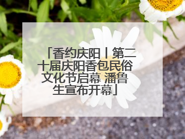香约庆阳丨第二十届庆阳香包民俗文化节启幕 潘鲁生宣布开幕