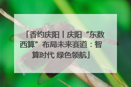 香约庆阳丨庆阳“东数西算”布局未来赛道：智算时代 绿色领航