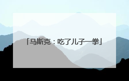 马斯克：吃了儿子一拳