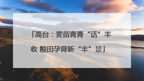 高台：麦苗青青“话”丰收 粮田孕育新“丰”景