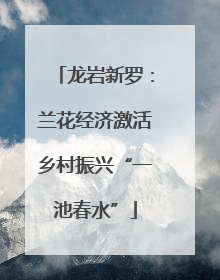 龙岩新罗：兰花经济激活乡村振兴“一池春水”