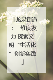 龙泉街道：三维度发力 探索文明“生活化”创新实践
