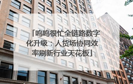 鸣鸣很忙全链路数字化升级：人货场协同效率刷新行业天花板