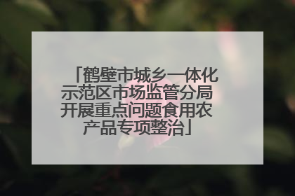鹤壁市城乡一体化示范区市场监管分局开展重点问题食用农产品专项整治