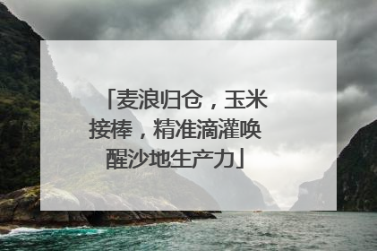 麦浪归仓，玉米接棒，精准滴灌唤醒沙地生产力