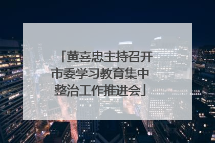 黄喜忠主持召开市委学习教育集中整治工作推进会