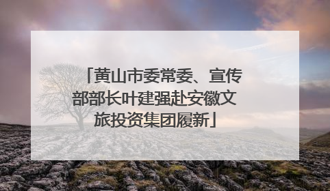 黄山市委常委、宣传部部长叶建强赴安徽文旅投资集团履新