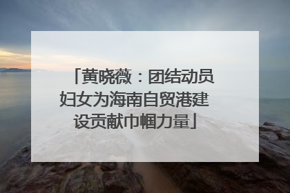 黄晓薇：团结动员妇女为海南自贸港建设贡献巾帼力量