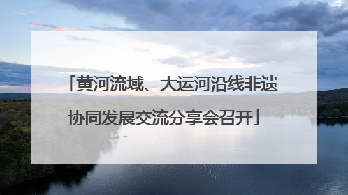 黄河流域、大运河沿线非遗协同发展交流分享会召开