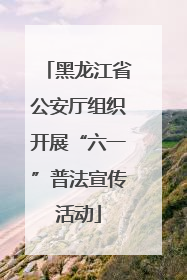 黑龙江省公安厅组织开展“六一”普法宣传活动