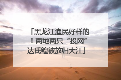 黑龙江渔民好样的！两地两只“投网”达氏鳇被放归大江