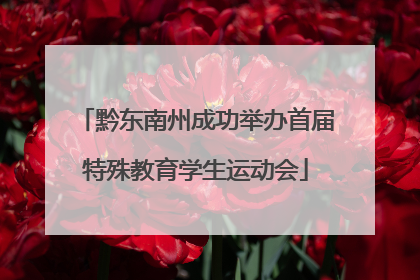 黔东南州成功举办首届特殊教育学生运动会
