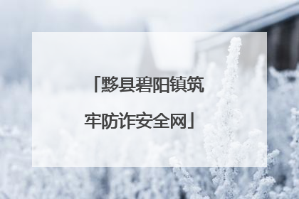 黟县碧阳镇筑牢防诈安全网