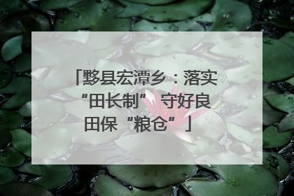 黟县宏潭乡：落实“田长制” 守好良田保“粮仓”