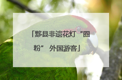 黟县非遗花灯“圈粉” 外国游客