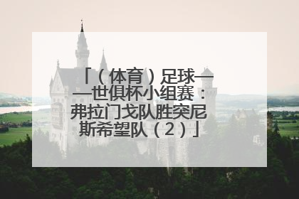 （体育）足球——世俱杯小组赛：弗拉门戈队胜突尼斯希望队（2）