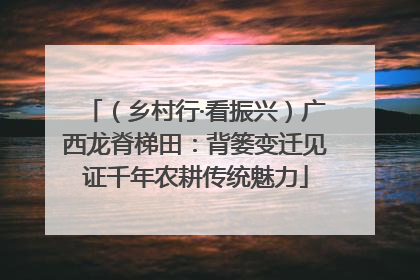 （乡村行·看振兴）广西龙脊梯田：背篓变迁见证千年农耕传统魅力