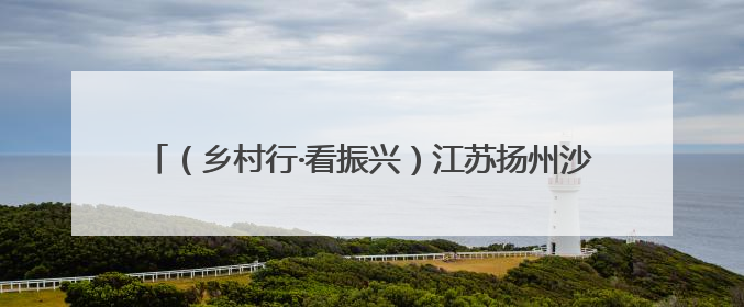 （乡村行·看振兴）江苏扬州沙头“种出”20亩“玉米迷宫” 民众体验别样“田园乐趣”