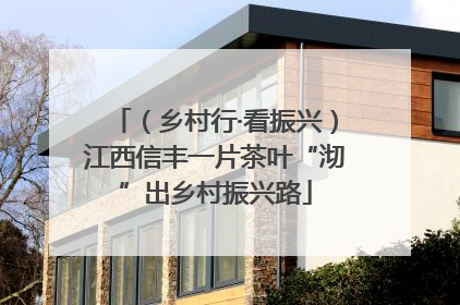 （乡村行·看振兴）江西信丰一片茶叶“沏”出乡村振兴路